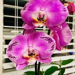 @rob.bernhardt - Instagram