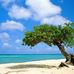 Rob Bickford III - Facebook