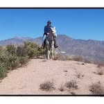 Robert Bickford - @rbickford33 - Instagram