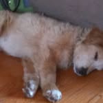 Robert Bickford - @bickfordrobert - Instagram