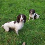 Rob blackburn - @rob_blackburn123 - Instagram