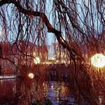 Robin Blain - @robblain - Instagram