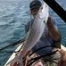 Rob Fish Bland  - Facebook