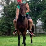 Rob Blevins - @robblevins6 - Instagram