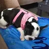 robin.l.blevins - @robin.l.blevins - TikTok
