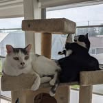 Robert Bliss - @robcatbliss - Instagram
