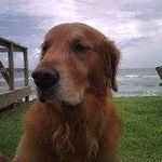 Rob Bowden - @bowden.rob - Instagram