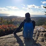Rob Brewer - @robbrewer40 - Instagram