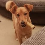 Rob Brewer - @rbrewer82 - Instagram