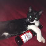 Rob Brewer - @robbrewer1473 - Instagram