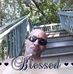 Robb Ryan - Facebook