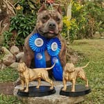 Rob Hidalgo - @rob_bullies_12 - Instagram