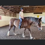 Rob Burdette - @robburdette2024 - Instagram