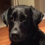 Rob Butterworth - @rbkbbutter - Instagram