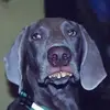 Rob Callahan656 - @robcallahan656 - TikTok