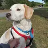 robcallahan801 - @robcallahan801 - TikTok
