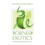 Borneo Exotics - @robcantley - Instagram