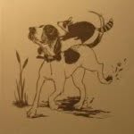 Rob Carman - @hound_dog_man - Instagram