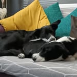 Rob Carrington - @robert.carrington.52 - Instagram