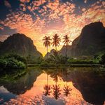 Rob Carrington - @watindahell - Instagram