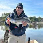 Rob Castle - @robcastle54 - Instagram