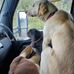 Rob Chambers - Facebook