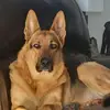 robchambers597 - @robchambers597 - TikTok