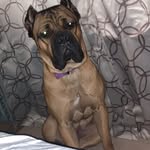 Rob Clay - @rob_clay330 - Instagram