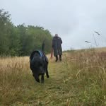 Rob Clayton - @kiz_toxinious - Instagram