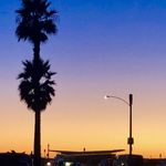 Rob Coughlin - @robert.coughlin - Instagram