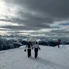 Rob Cox - @robcox - TikTok