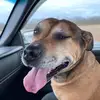 robcrouch2 - @robcrouch2 - TikTok