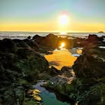 Rob Cummins - @rob.cummins.31 - Instagram