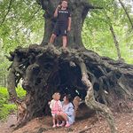 Rob Daly - @robbiedaly800 - Instagram