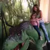 Rob Daly - @rob.daly7 - TikTok