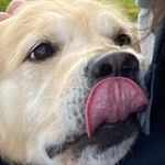 Rob Davison - @davisonrob2022 - Instagram