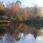Rob Davison - @mapleglengardens - Instagram