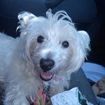 Rob Davison - @robd187 - Instagram
