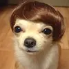 RobTheDogDeals - @titkokdeals2025 - TikTok