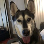 Robert Della-Moretta - @robdell150 - Instagram