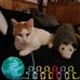 Rob Demott - Facebook