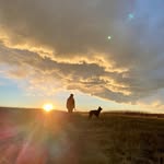 Rob Dent - @rob_dent - Instagram