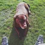 Robert Robert - @robdent24 - Instagram
