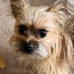 Rob Dicks - @rob.b.dix - Instagram