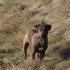 Rob Dillon - @rob.dillon4 - TikTok