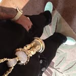 robdillon71 - @robdillon71 - Instagram