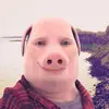Rob Doherty - @robdoherty_ - TikTok