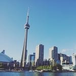Rob_dove - @rob3537 - Instagram