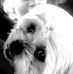 Rob Doyle - Facebook
