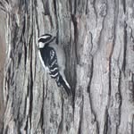 Rob Drewery - @rob_drewery - Instagram